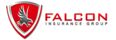 Falcon Insurance Group Merch Store